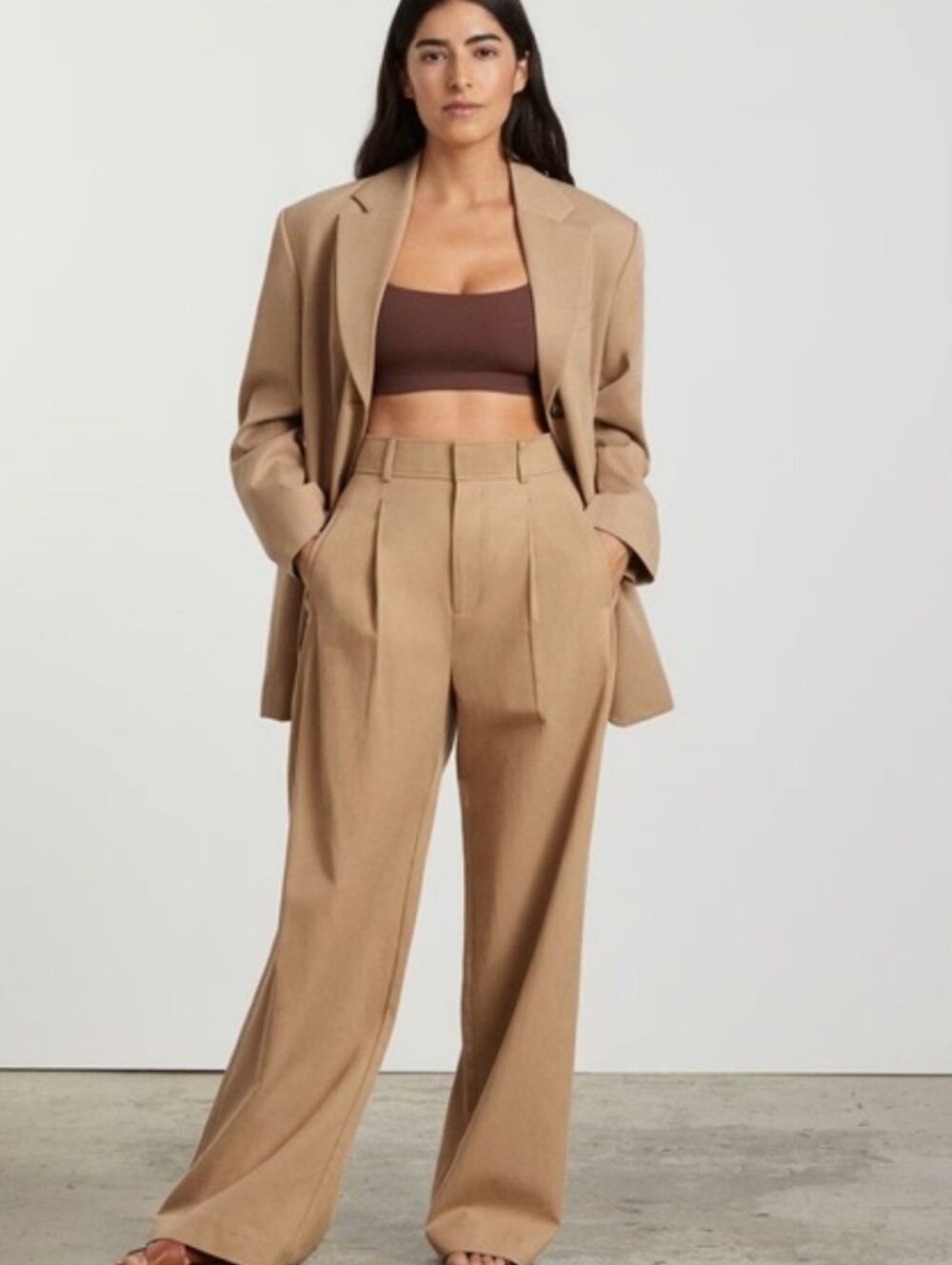 EVERLANE The Way-High® Drape Pant